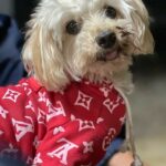 butter bean garcia Gallery