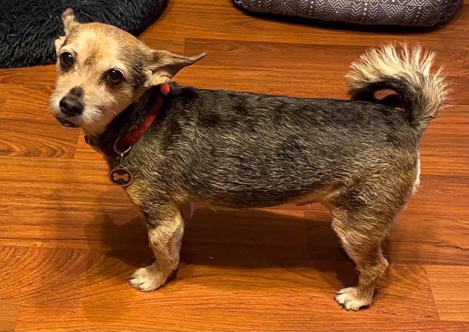 peanut barnes