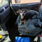 missy leeuwen Gallery