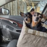 missy leeuwen Gallery