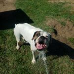 toki villanueva Gallery