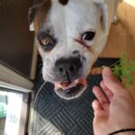 toki villanueva Gallery