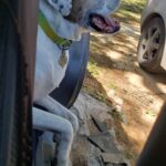 toki villanueva Gallery