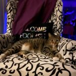 salem tijerina Gallery