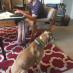 cinnamon molina Gallery