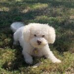 calee escalera Gallery