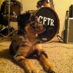 bear briones Gallery