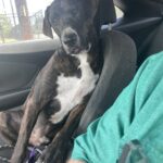 rainbow villarreal Gallery