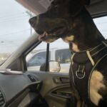 rainbow villarreal Gallery