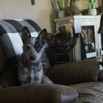 sheila lopez Gallery