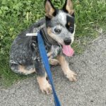 sheila lopez Gallery