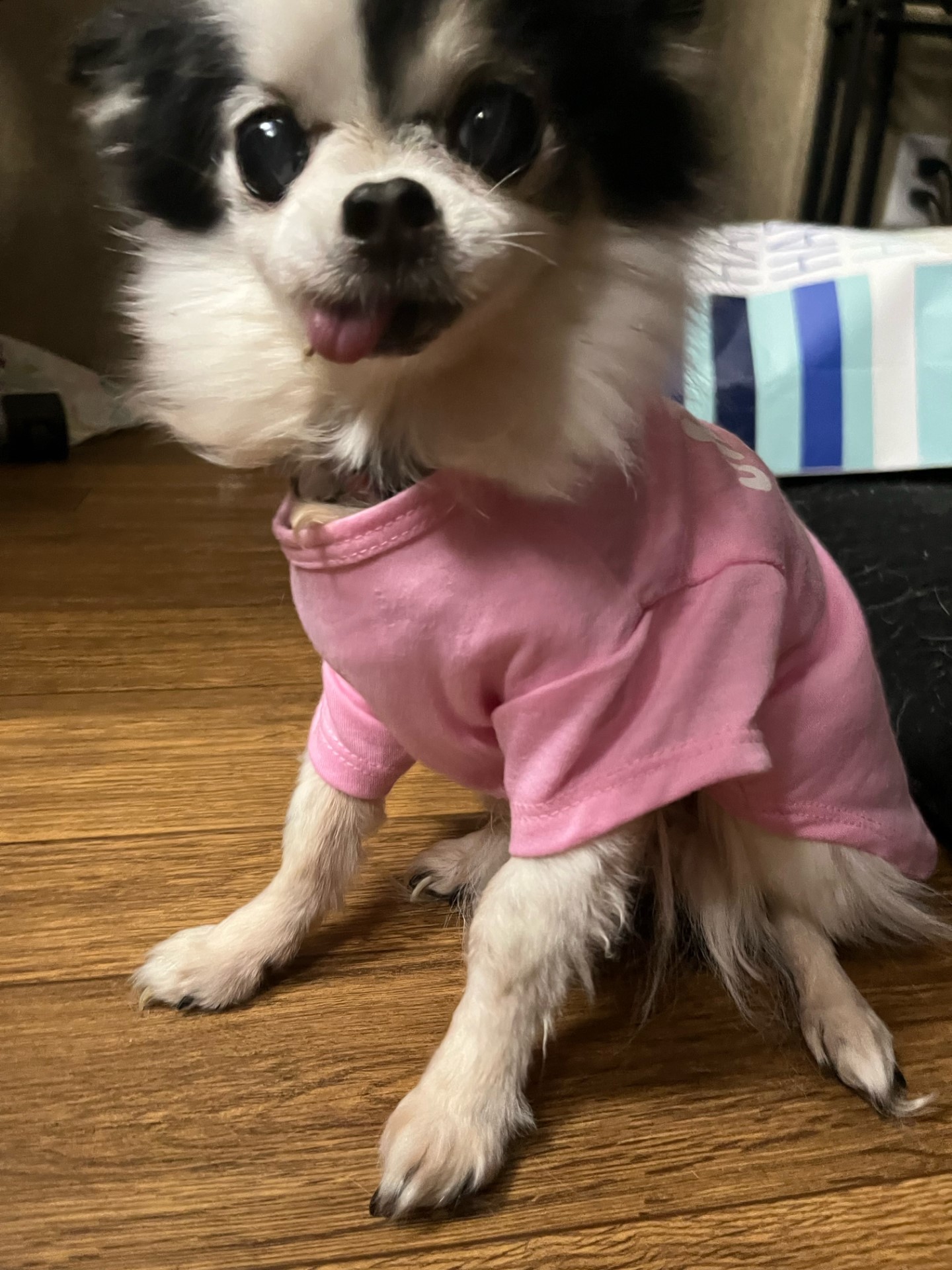 baby princess hinojosa