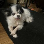 baby princess hinojosa Gallery