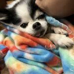 baby princess hinojosa Gallery