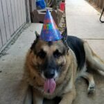 diesel delgado Gallery