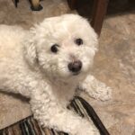 buddy garcia Gallery