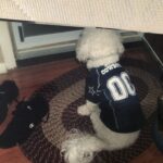 buddy garcia Gallery