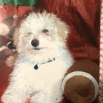 buddy garcia Gallery