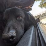 jhope serrano Gallery