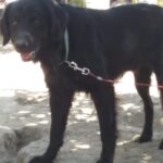 jhope serrano Gallery