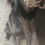 jhope serrano Gallery