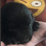 jhope serrano Gallery