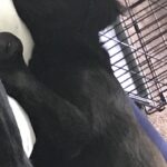 jhope serrano Gallery