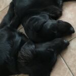 jhope serrano Gallery