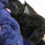 jhope serrano Gallery