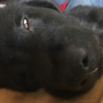 jhope serrano Gallery