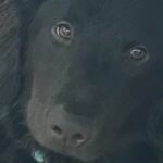 jhope serrano Gallery