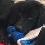 jhope serrano Gallery