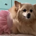 sassy garcia-perez Gallery