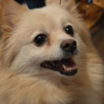 sassy garcia-perez Gallery