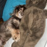 twinkie trevino Gallery