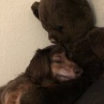 twinkie trevino Gallery