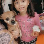 romeo gracia Gallery