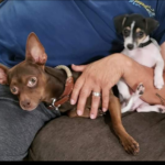 meelah valdez Gallery