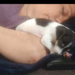 meelah valdez Gallery