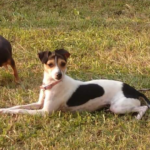 meelah valdez Gallery