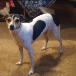 meelah valdez Gallery