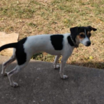 meelah valdez Gallery