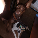 meelah valdez Gallery