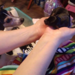 meelah valdez Gallery