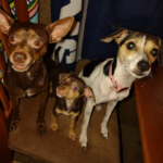 meelah valdez Gallery