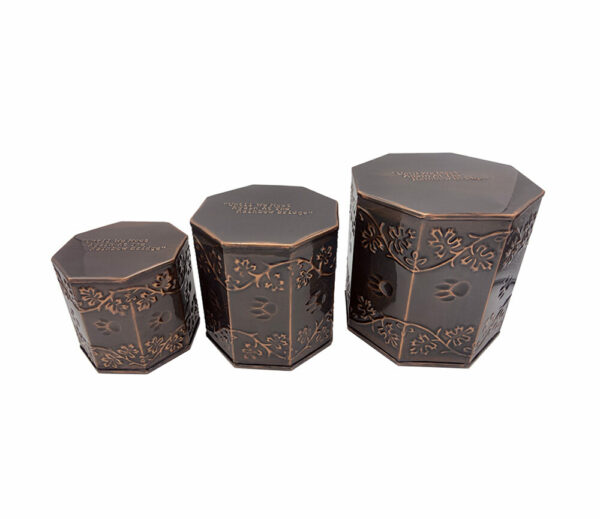Rainbow Bridge Steel Paw Print Urn