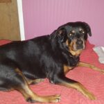 starr padilla Gallery