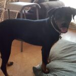 starr padilla Gallery