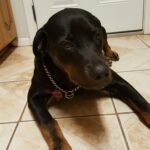 starr padilla Gallery