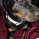 starr padilla Gallery